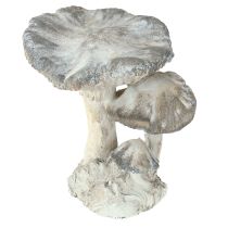 Article Décoration champignon en pierre moulée grise blanchie à la chaux 21,5 × 18 × 22 cm