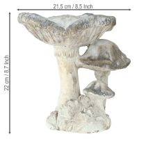 Article Décoration champignon Pierre moulée grise 21,5×18×22cm