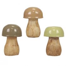 Champignons en bois champignons décoratifs bois beige, vert Ø5cm 7,5cm 12pcs