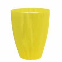 Article Poignets plissés jaune 14,5cm 100 pièces