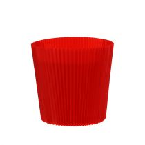 Article Poignets plissés rouge 10,5cm 100 pièces