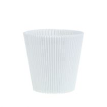 Article Poignets plissés blanc 10,5cm 100 pièces