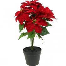 Article Étoile de Noël artificielle Rouge Fleurs artificielles en pot H53cm