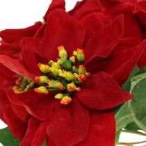 Bouquet poinsettia velours rouge 35cm