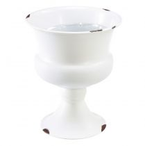 Coupe vase coupelle décorative blanc rouille Ø13,5cm H15cm Shabby Chic