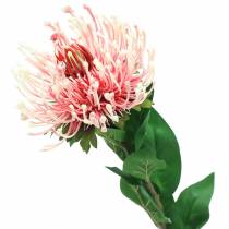 Protea Artificielle Rose 73cm
