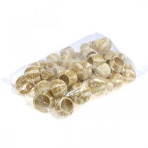 Article Citrouille déco naturelle Séchée Blanchie 5-6cm 50 pièces