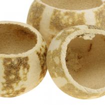 Article Citrouille déco naturelle Séchée Blanchie 5-6cm 50 pièces