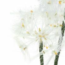 Article Fleur artificielle Salsifis des prés Blanc 57cm