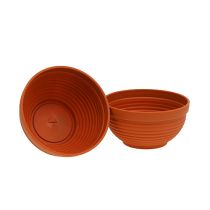 Article Bol R en plastique terre cuite Ø19cm, 10 pièces