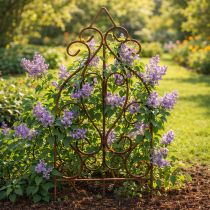 Article Treillis au design romantique pour rosiers et plantes grimpantes en massifs, 64 cm