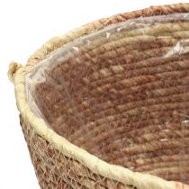 Article Ensemble de paniers à plantes en rotin, naturel/marron, 3 pièces, Ø26/22/16 cm – Décoratif et polyvalent