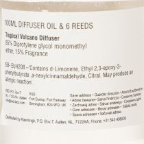 Article Diffuseur de parfum d'ambiance aux senteurs exotiques de noix de coco et de mangue pour une fraîcheur longue durée à la maison, 19 cm, lot de 2