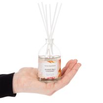 Article Diffuseur de parfum d'ambiance aux senteurs exotiques de noix de coco et de mangue pour une fraîcheur longue durée à la maison, 19 cm, lot de 2