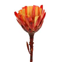 Article Repens Tasse Rouge 25 pcs