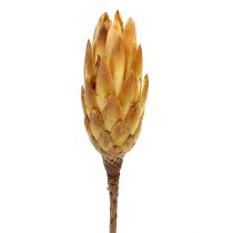 Article Crème Repens 25 pièces