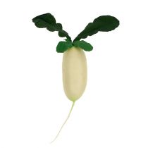 Article Radis blanc avec feuilles 12cm 3pcs