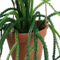 Article Panier suspendu cactus corail artificiel Rhipsalis H87cm