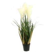 Article Potted Sedge Herbe Artificielle Plante en Pot Crème, Vert 79cm