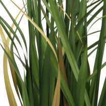 Article Roseau en pot Plante artificielle en pot Crème, Vert 79cm
