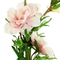 Pied d’alouette rose clair L. 95 cm