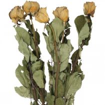 Rose fleur séchée, Saint Valentin, fleuristerie séchée, roses décoratives rustiques jaune-violet L45-50cm 5pcs