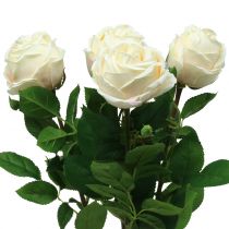 Rose rose 65cm 4pcs