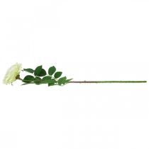 Article Rose artificielle, rose décorative, fleur de soie blanc crème, vert L72cm Ø12cm