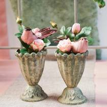 Article Rose dans le verre rose H23cm