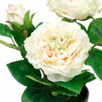 Pivoine dans un pot, rose décorative romantique, fleur de soie blanc crème
