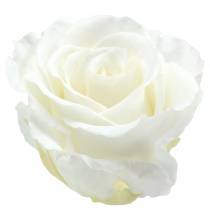 Article Infinity Roses Grand Ø5,5-6cm Blanc 6 pcs