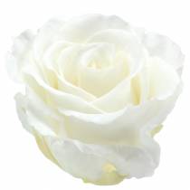 Article Roses infinies grandes Ø5.5-6cm blanches 6pcs