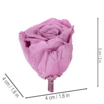 Article Roses stabilisées, cadeau romantique, roses longue durée pour les occasions spéciales, 5 cm, lot de 6