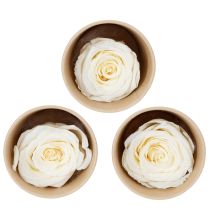 Article Têtes de roses stabilisées, décoration de table durable pour une ambiance romantique, décoration de mariage, 5 cm, lot de 6