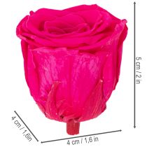 Article Décorations de roses stabilisées, véritables fleurs pour la décoration de table, floraisons uniques et durables, 5 cm, lot de 6