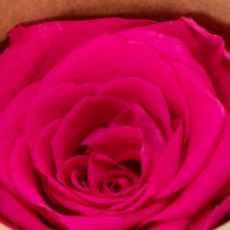 Article Décorations de roses stabilisées, véritables fleurs pour la décoration de table, floraisons uniques et durables, 5 cm, lot de 6