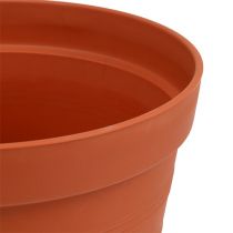 Article Pot à roses plastique 19cm terre cuite 1 pièce