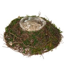 Article Jardinière ronde en mousse avec feuille Ø20cm H7cm