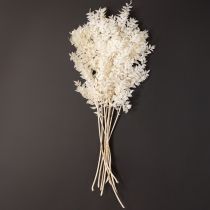 Article Branches de Ruscus branches décoratives fleurs séchées blanchies 10 pcs