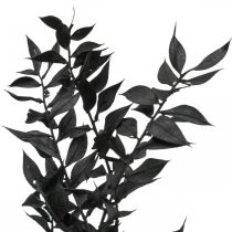 Branches de Ruscus branches décoratives fleurs séchées noires 200g