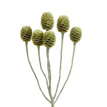 Article Branche de Sabulosum 4-6 vert givré 25 pcs