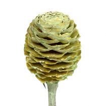 Article Branche de Sabulosum 4-6 vert givré 25 pcs