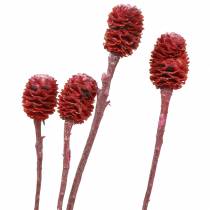Article Branches décoratives Sabulosum rouge givré 4-6 25 pcs
