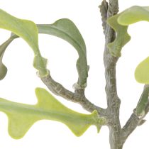 Article Feuille de scie artificielle Cactus Epiphyllum anguliger L68cm 3 pcs