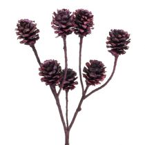 Article Branches Salignum avec cônes Bordeaux 25pcs