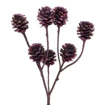 Article Branches de Salignum avec cônes Berry 25 pcs