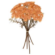 Article Fleurs artificielles d&#39;achillée millefeuille Achillea artificielle orange 30cm 6 pcs