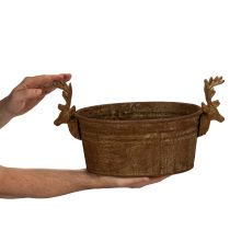 Article Bol décoratif ovale en forme de tête de renne, couleur rouille, style rustique, 41 cm