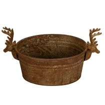 Article Bol décoratif ovale en forme de tête de renne, couleur rouille, style rustique, 41 cm