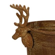 Article Bol décoratif ovale en forme de tête de renne, couleur rouille, style rustique, 41 cm